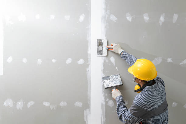 Best Custom Drywall Designs  in Dansville, NY